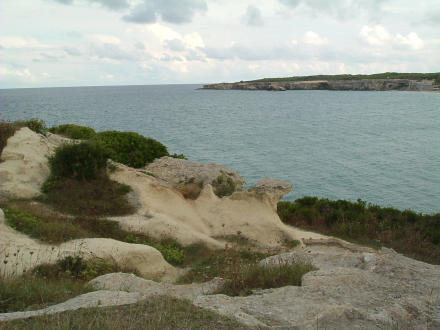 Demo image